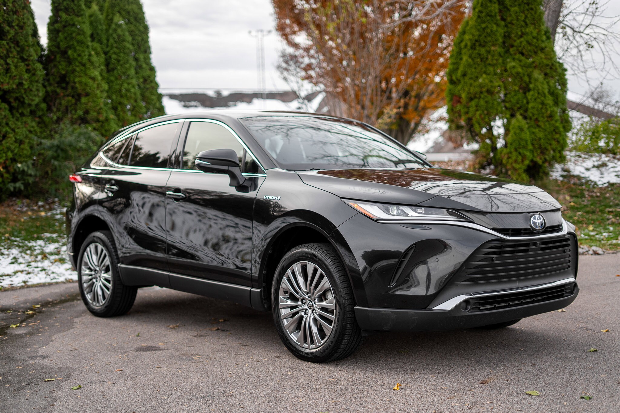 2021 Toyota Venza Limited photo 2