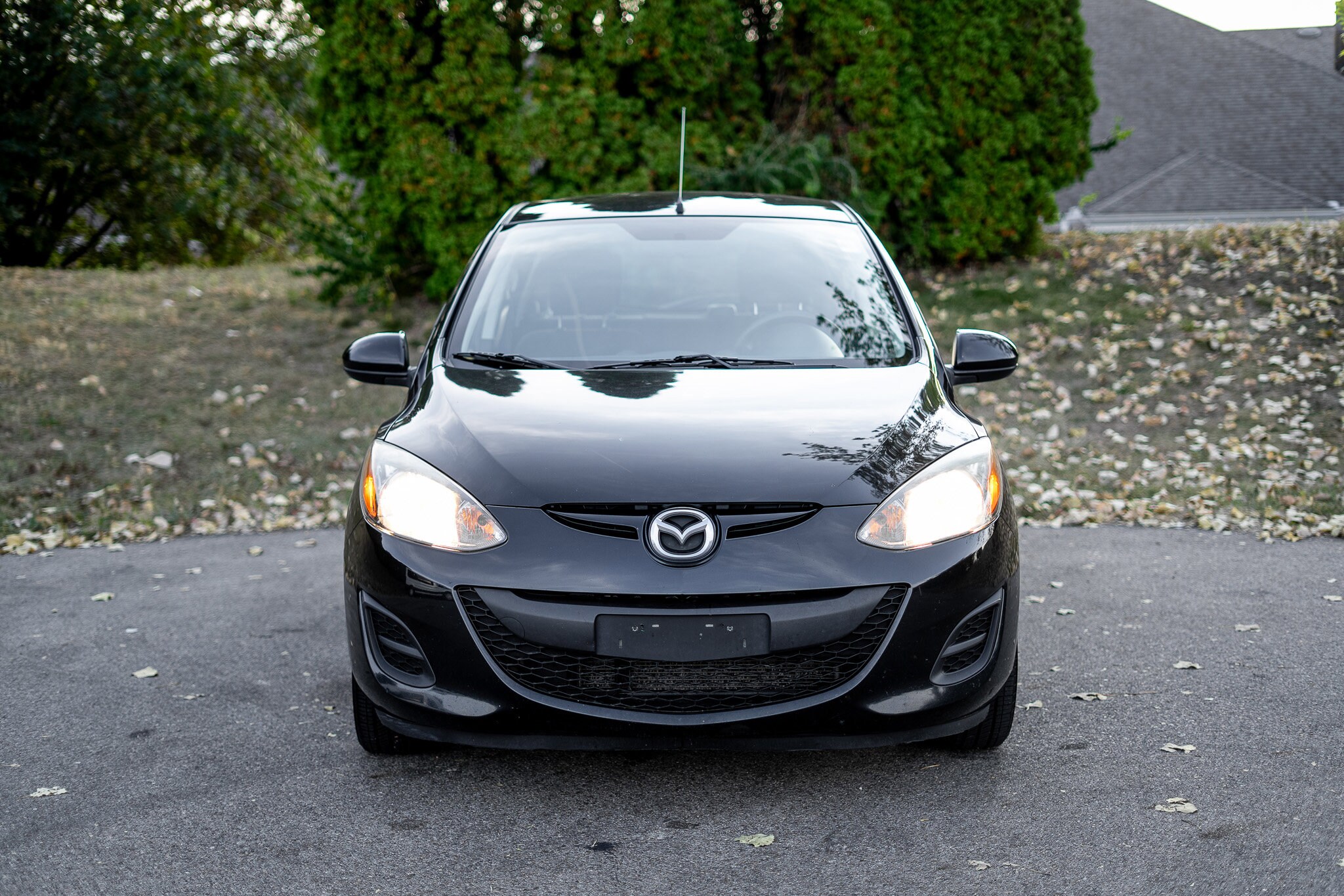 2014 Mazda Mazda2 Sport photo 2