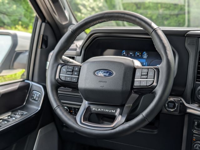 2025 Ford F-150 Platinum - Photo 12