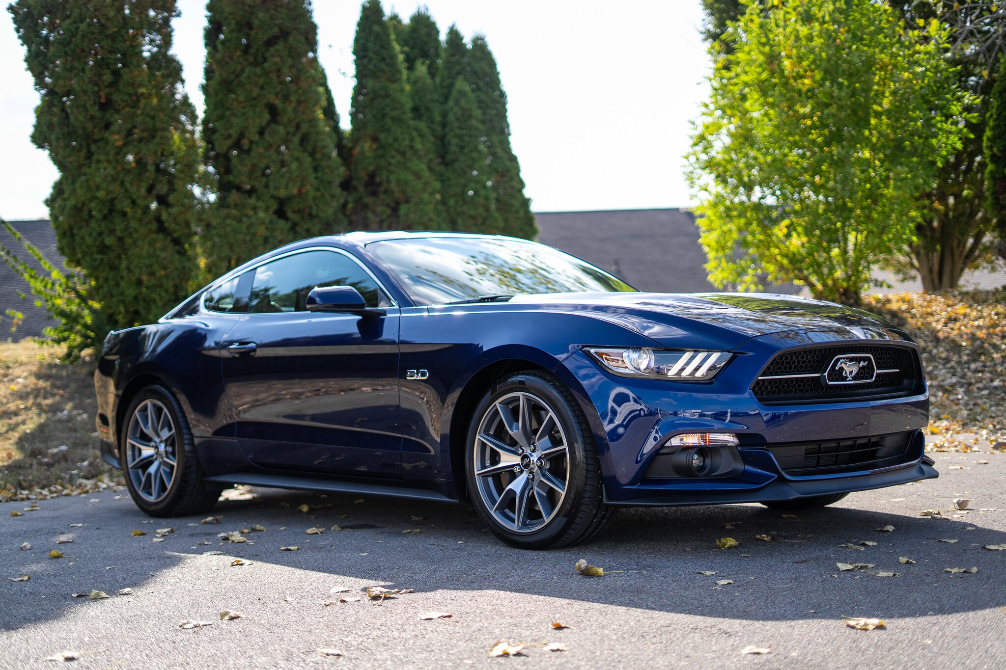 2015 Ford Mustang GT 50th Anniversary Edition photo 3