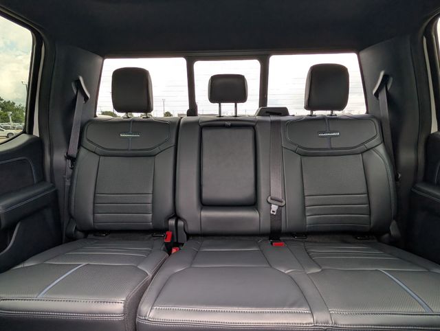2025 Ford F-150 Platinum - Photo 37