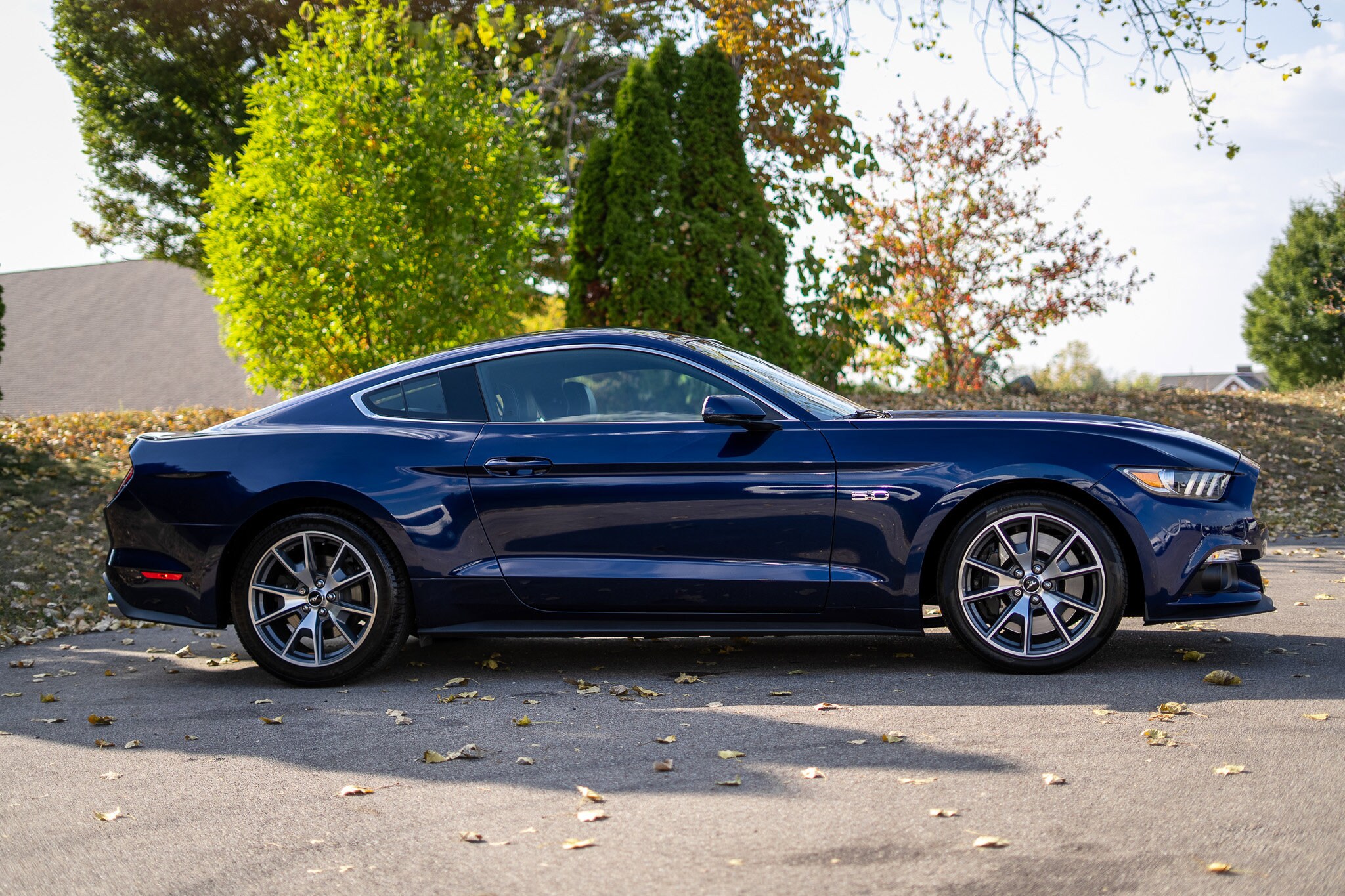 2015 Ford Mustang GT 50th Anniversary Edition photo 4