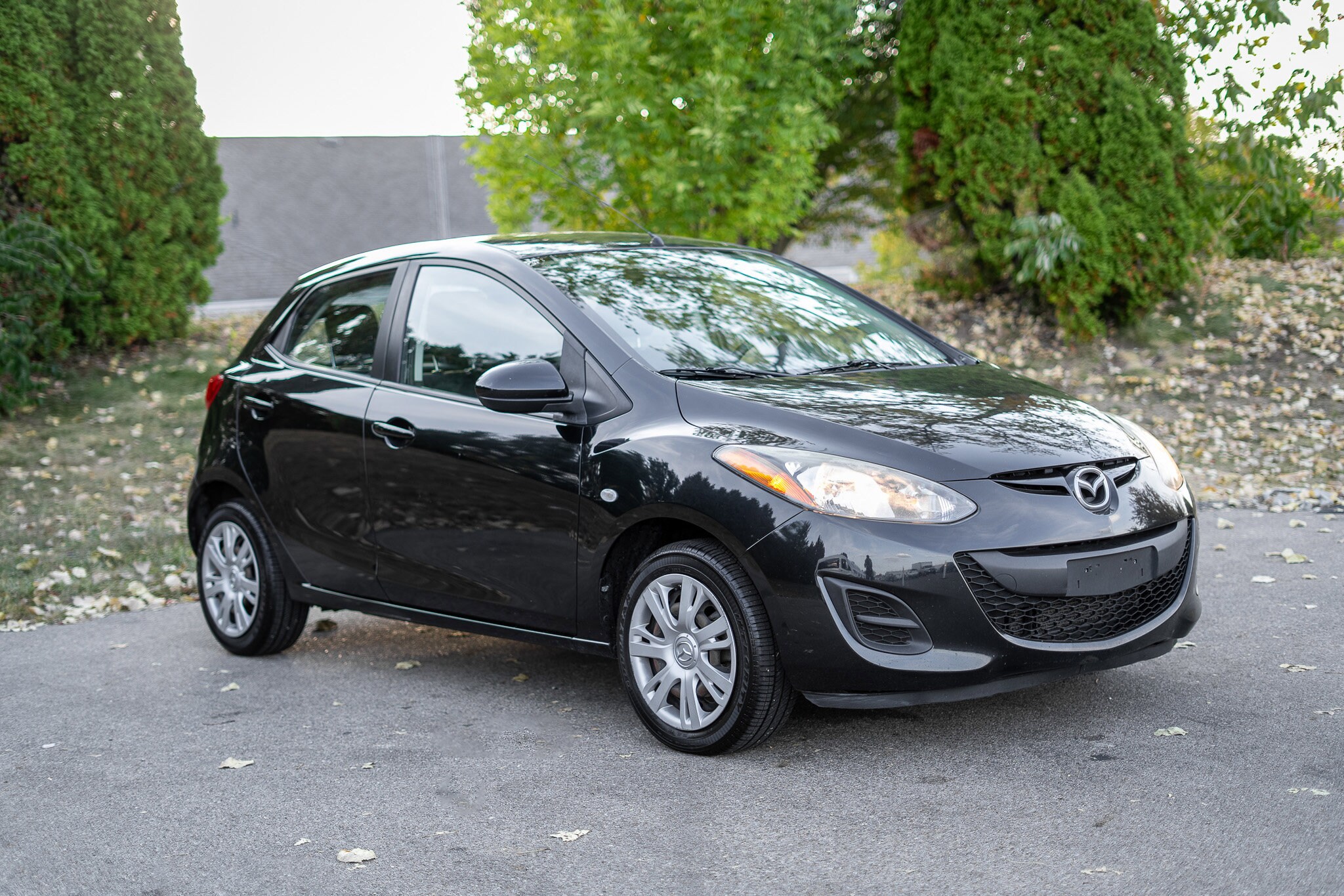 2014 Mazda Mazda2 Sport photo 3