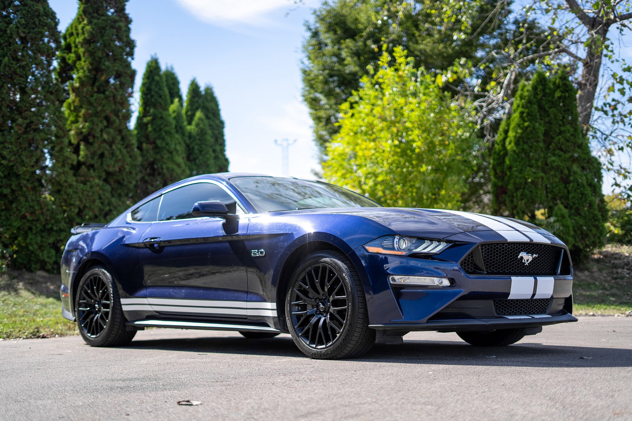 2019 Ford Mustang GT photo 3