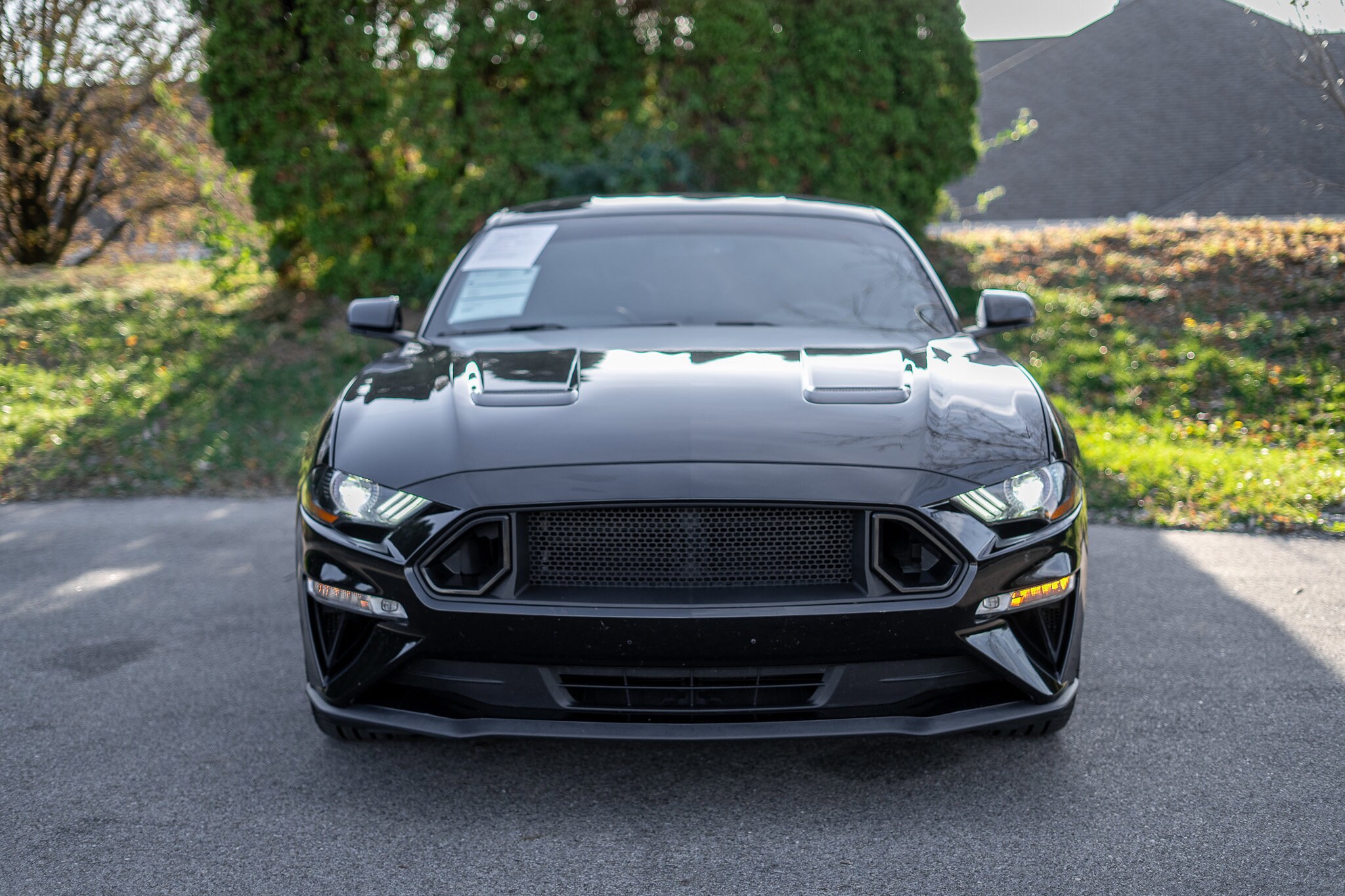 2020 Ford Mustang GT Premium photo 2