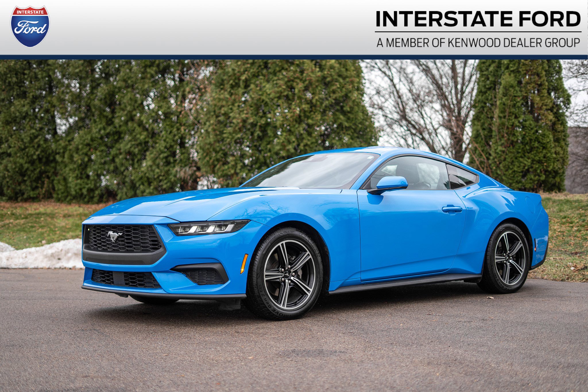 2024 Ford Mustang EcoBoost's photo