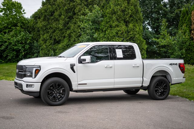 2025 Ford F-150 Platinum - Photo 9