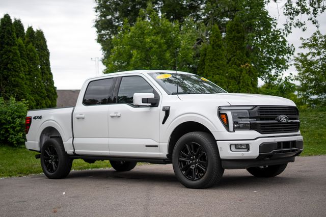 2025 Ford F-150 Platinum - Photo 3