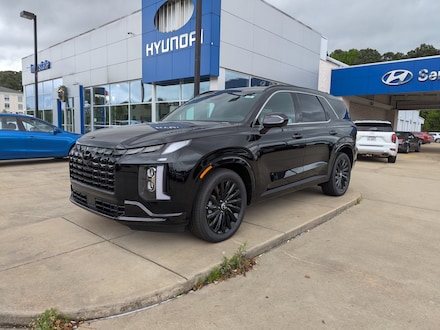 2025 Hyundai Palisade Calligraphy Night Edition AWD Sport Utility