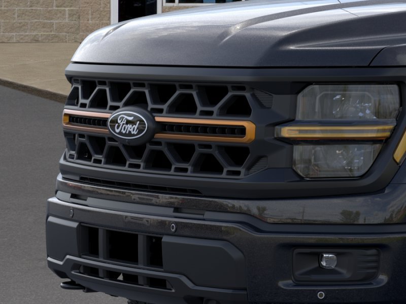 2025 Ford F-150 Tremor - Photo 17