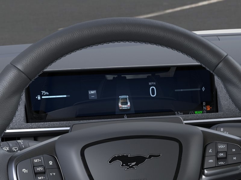 2025 Ford Mustang Mach-E GT - Photo 13