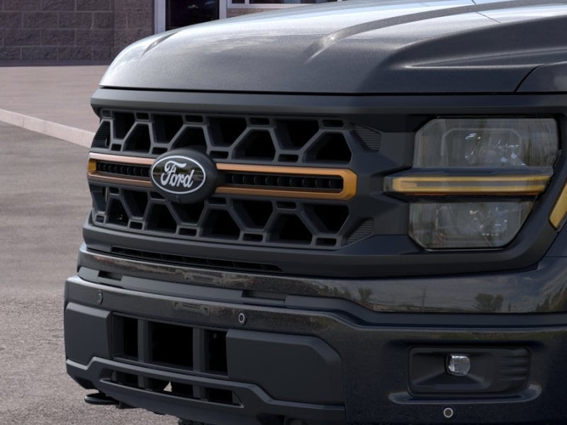 2025 Ford F-150 Tremor - Photo 17