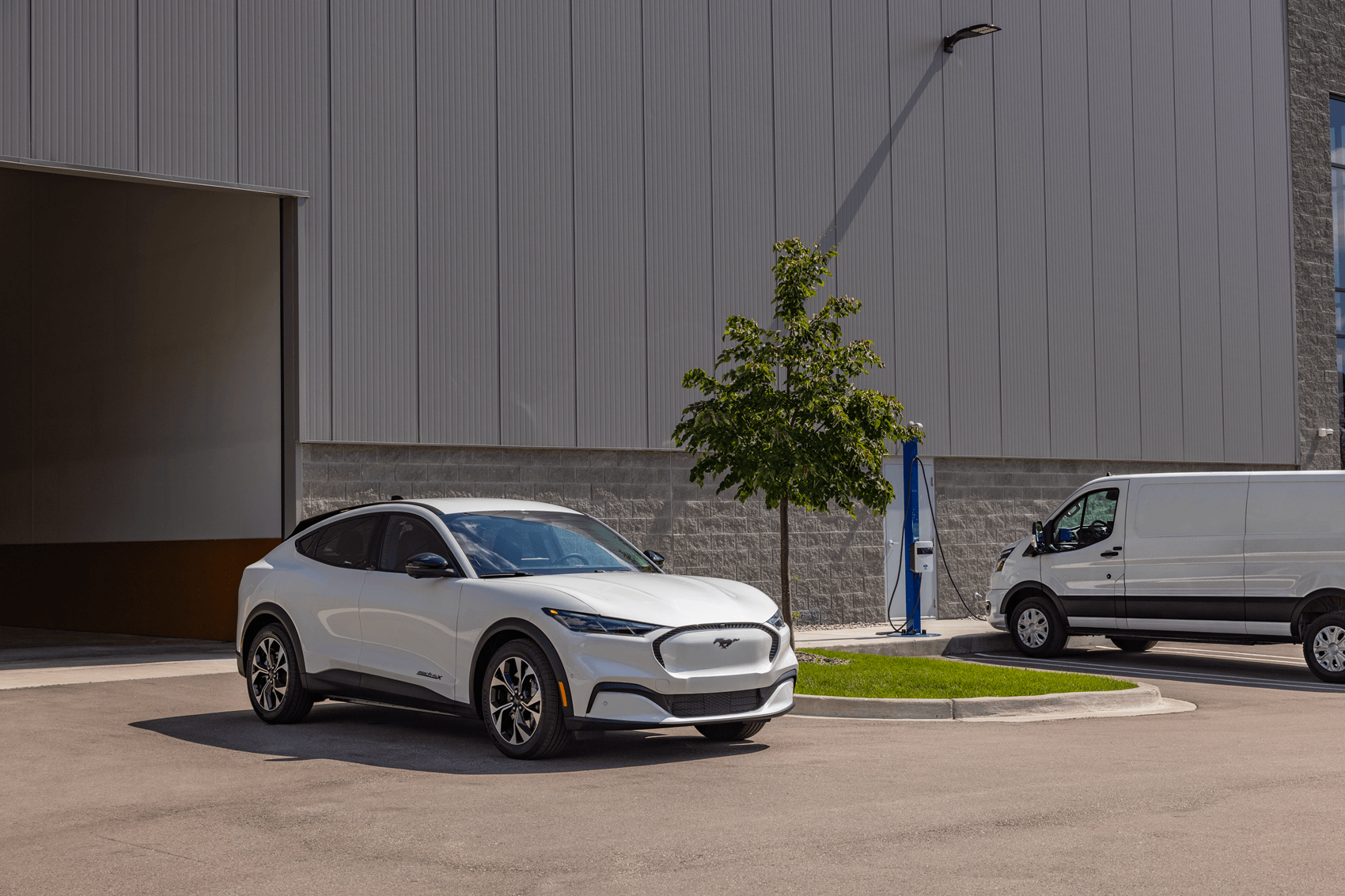 New Ford Specials