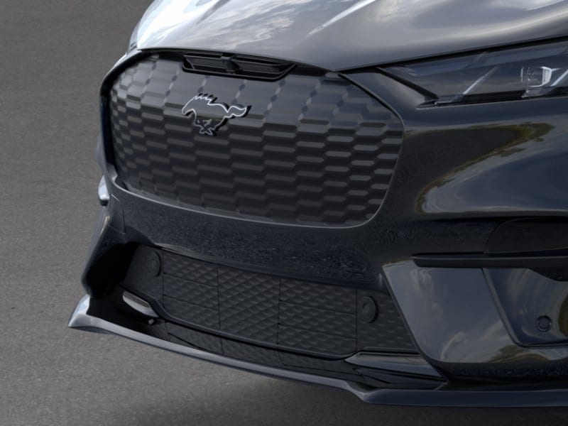 2025 Ford Mustang Mach-E GT - Photo 17