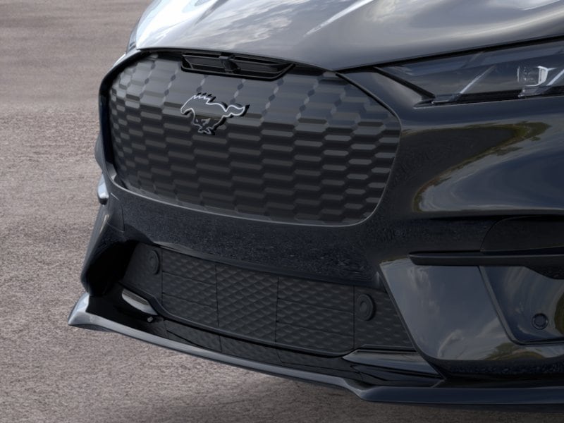 2025 Ford Mustang Mach-E GT - Photo 17