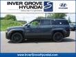 New 2026 Hyundai Santa Fe Hybrid Calligraphy SUV