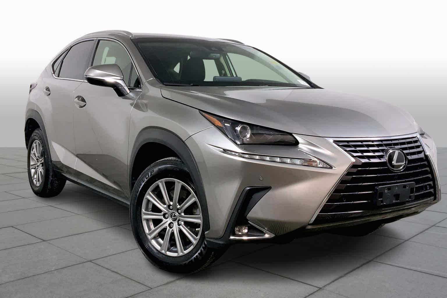 2019 Lexus NX 300 Luxury photo 2