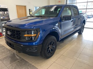 2025 Ford F-150 STX TRUCK