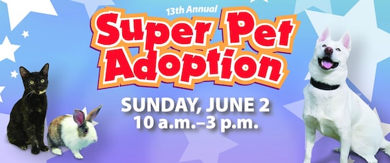 Super Pet Adoption Day | Irvine Subaru Super Pet Adoption Day | Irvine Subaru