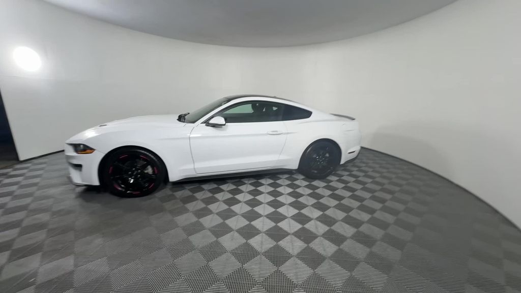 2019 Ford Mustang EcoBoost photo 2