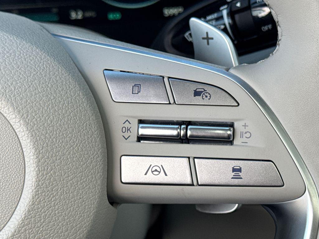 2025 Hyundai Palisade Calligraphy - Photo 23