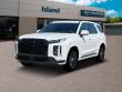 New 2025 Hyundai Palisade Calligraphy Night Edition AWD SUV