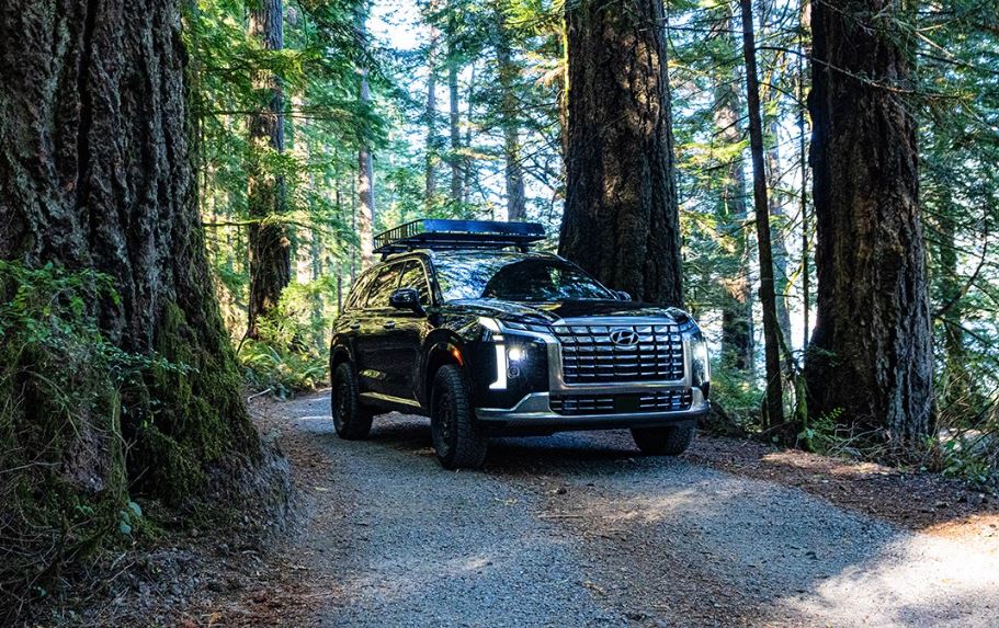 hyundai-palisade.JPG