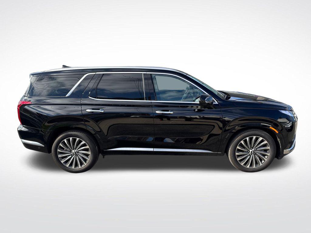 2025 Hyundai Palisade Calligraphy - Photo 11