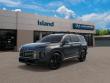 New 2025 Hyundai Palisade XRT AWD SUV
