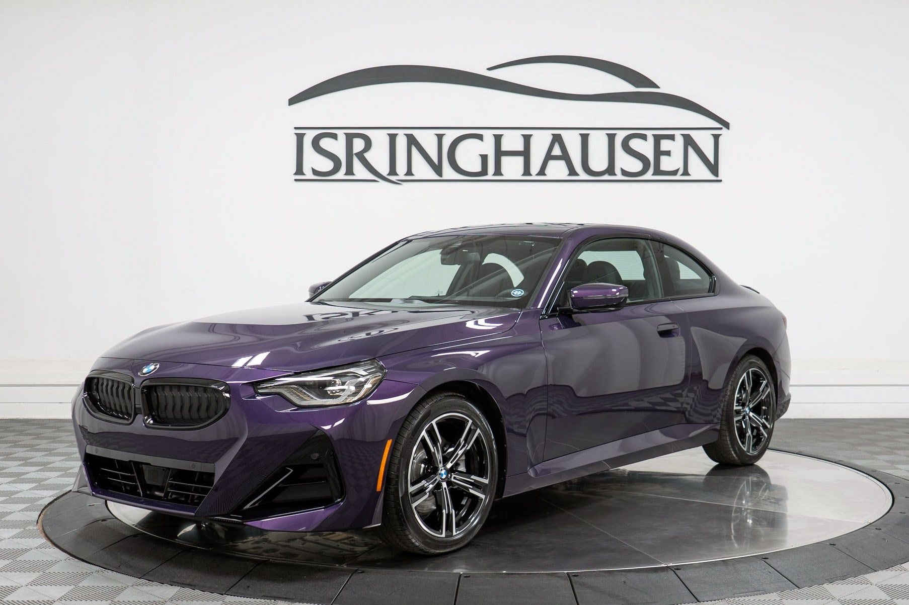 56247%20-%20purple.jpg