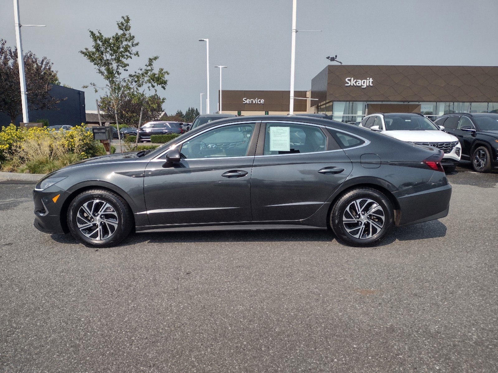 Used 2020 Hyundai Sonata Hybrid Blue with VIN KMHL24JJ6LA013951 for sale in Burlington, WA