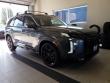 New 2025 Hyundai Palisade XRT AWD SUV