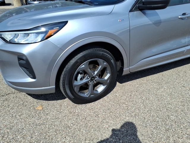 Photo 4