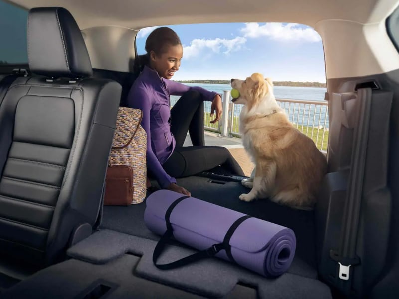 Stay safe inside the 2019 Ford Escape