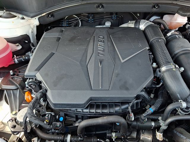 2023 Hyundai Santa Fe Calligraphy - Photo 29
