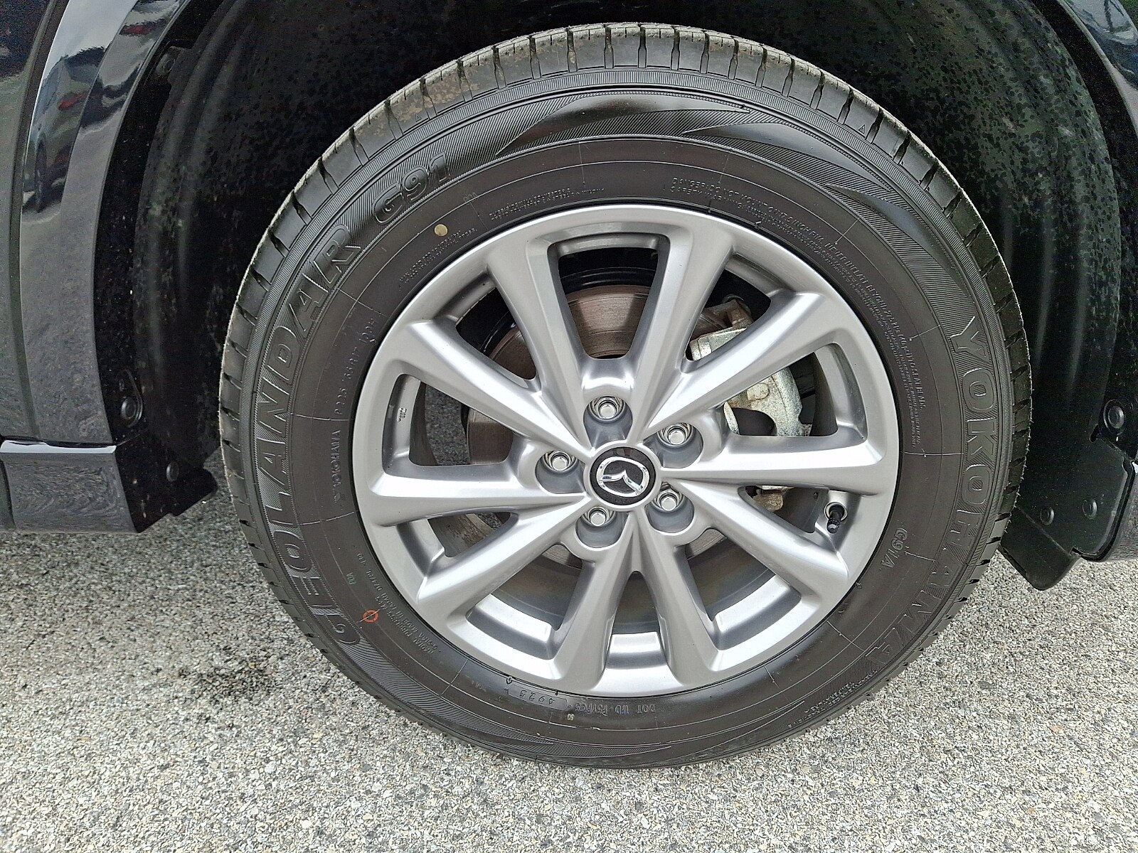 Photo 11