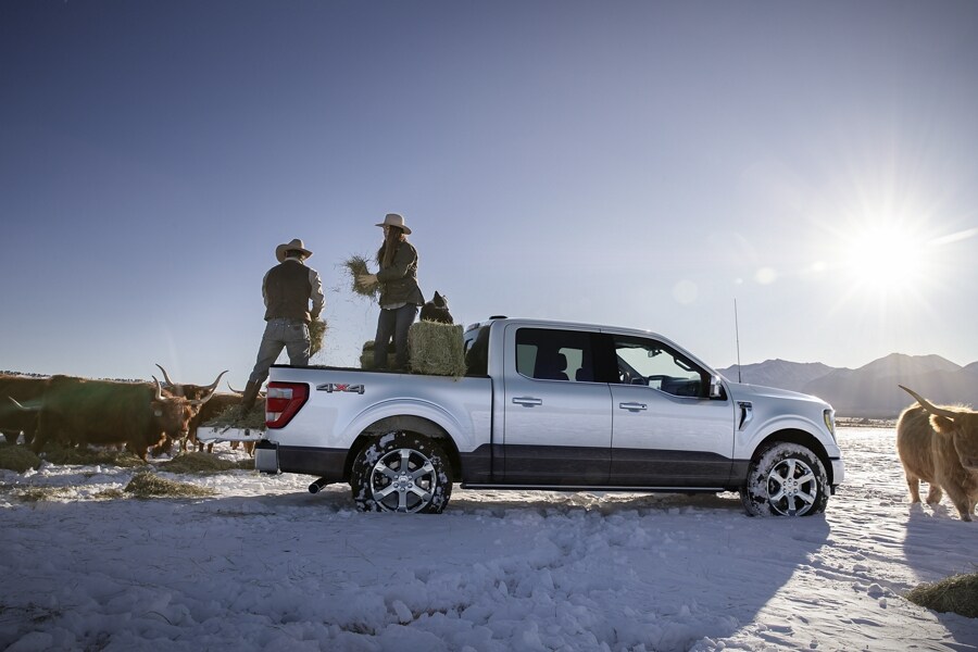 けーすけ　SPREAD AX-F 150 Amazon.com: USA Standard Gear ZDS9453 Rear OE Driveshaft