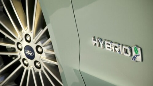 Staff member Ted Brady from ID_20b419916bf4