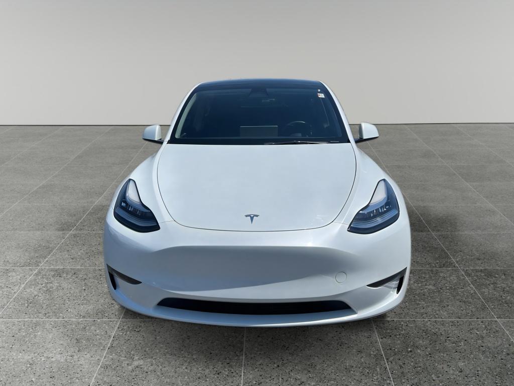 2023 Tesla Model Y Long Range Dual Motor All-Wheel Drive's photo