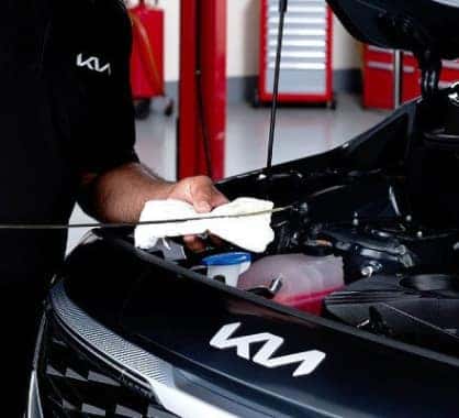 Service-2.jpg