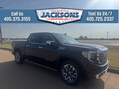 2025 GMC Sierra 1500 Denali Truck