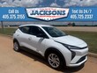  Chevrolet Bolt