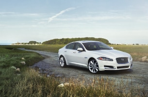 Jaguar XF 3.0 Polaris White