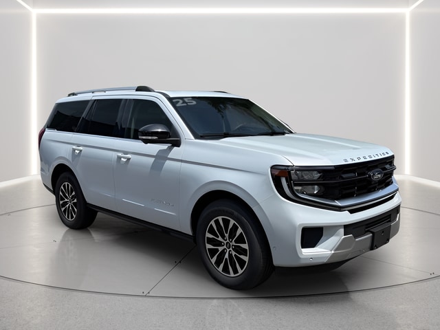 2025 Ford Expedition Platinum - Photo 7