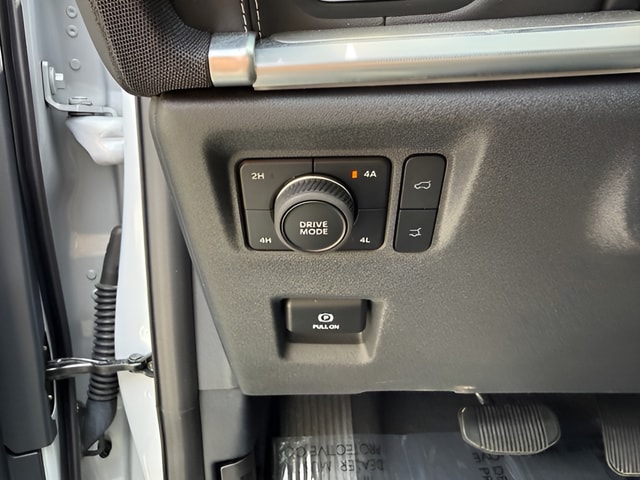 2025 Ford Expedition Platinum - Photo 16