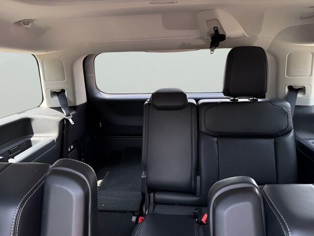 2025 Ford Expedition Platinum - Photo 29