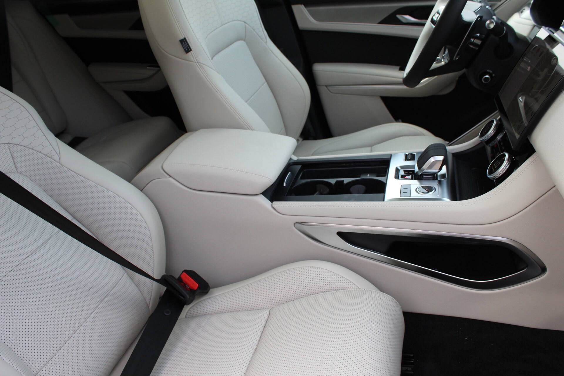 2026 Jaguar F-PACE P250 R-Dynamic S photo 3