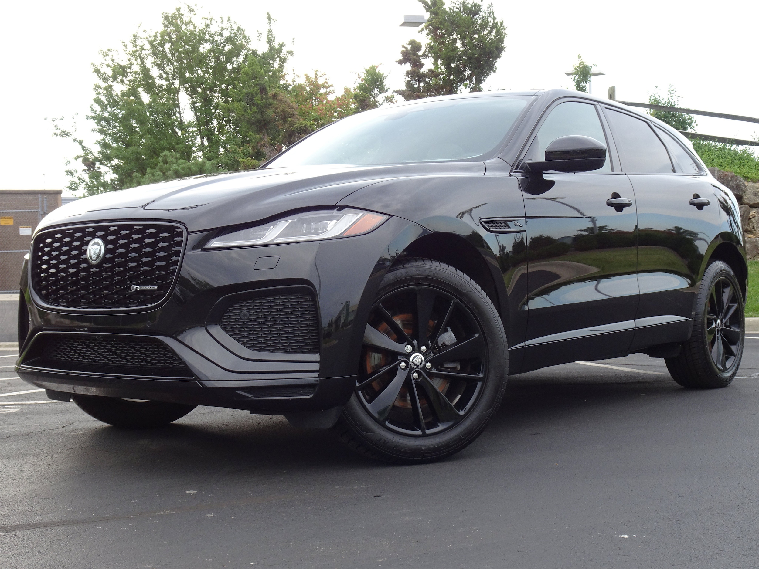 2025 Jaguar F-PACE P250 R-Dynamic S's photo