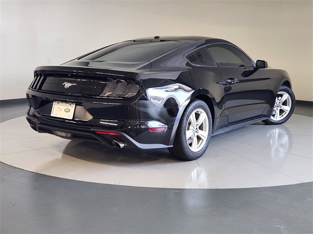 Used 2019 Ford Mustang EcoBoost with VIN 1FA6P8TH3K5106203 for sale in Friendswood, TX