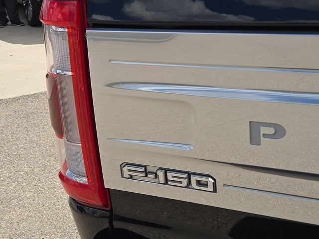 2022 Ford F-150 Platinum - Photo 9